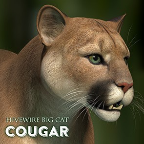  HiveWire Cougar