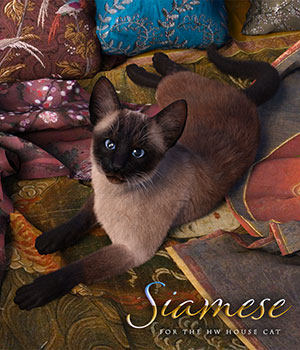CWRW Siamese for the HW House Cat